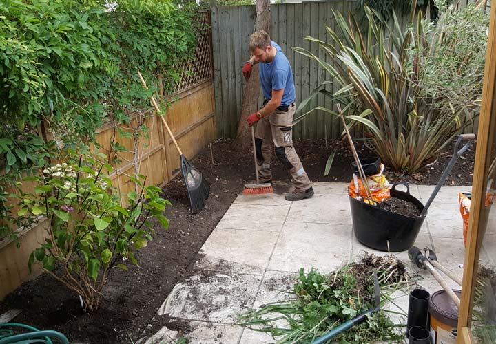 Tree Planting and Plant Health