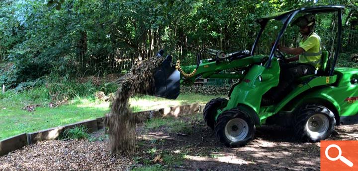 Tree Planting and Plant Health